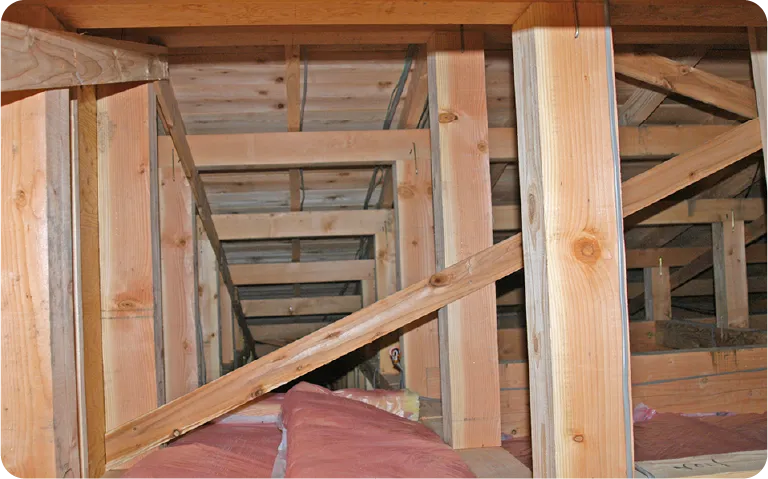 現地調査の写真