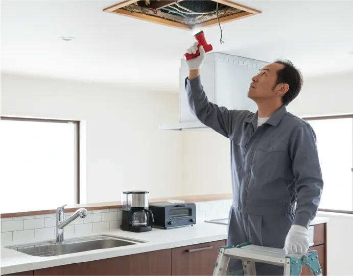 現地調査の画像